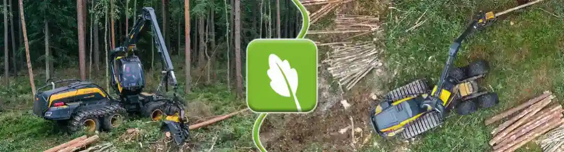 Metsa ost nii kasvava metsa kui metsamaa n&auml;ol.