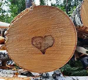 pärnu metsafirma